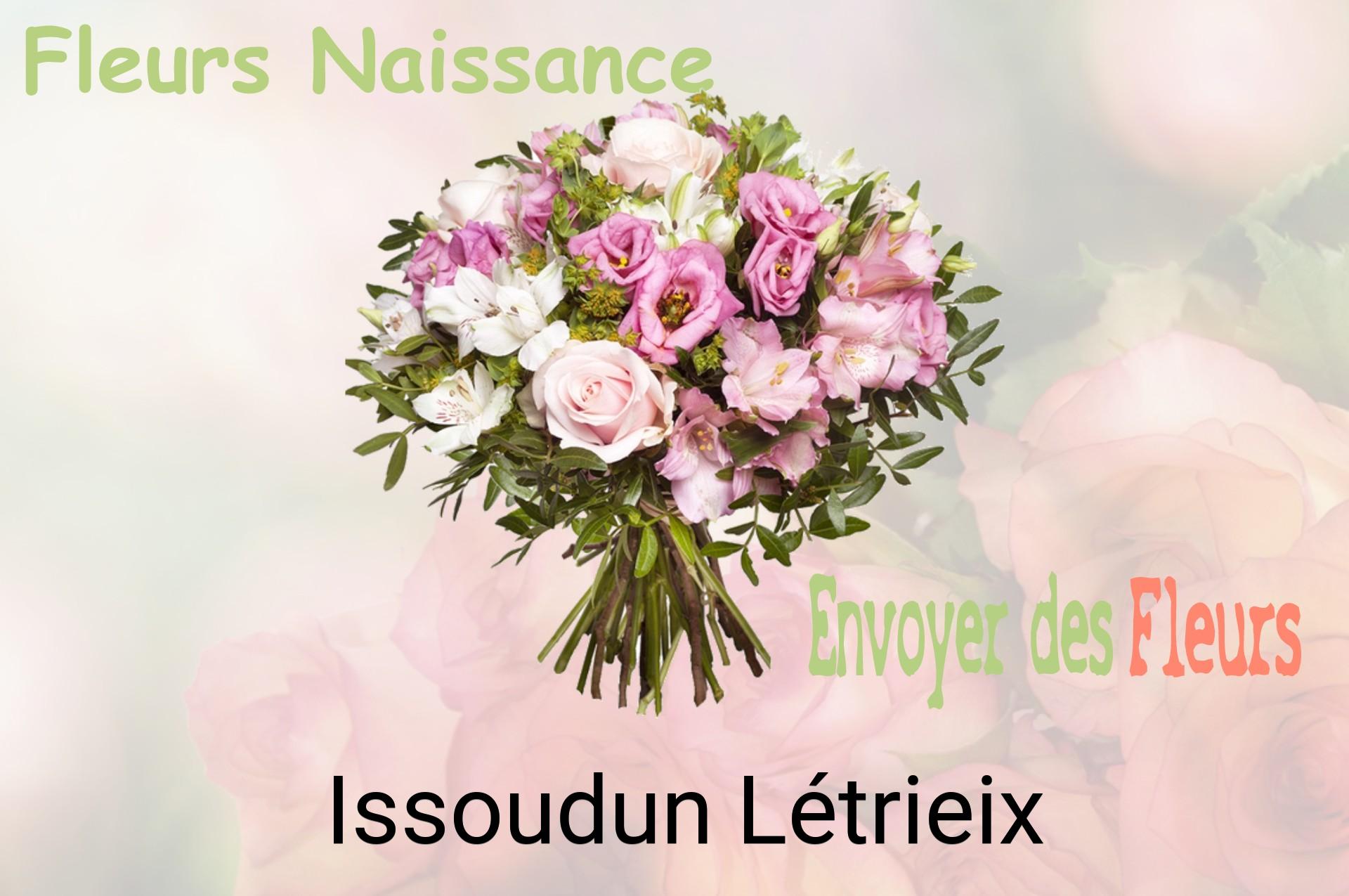 Bouquet de fleurs de naissance livré à Issoudun-Létrieix
